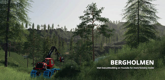 Карта Bergholmen Hardcore Forestry v1.3 для FS19 (1.1.0.0)