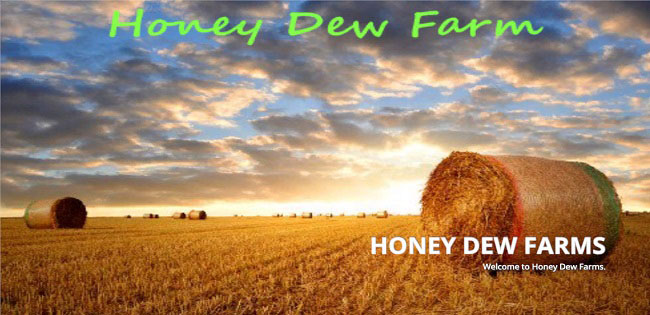 Карта Honey Dew Farms v1.1 для FS19 (1.1.0.0)