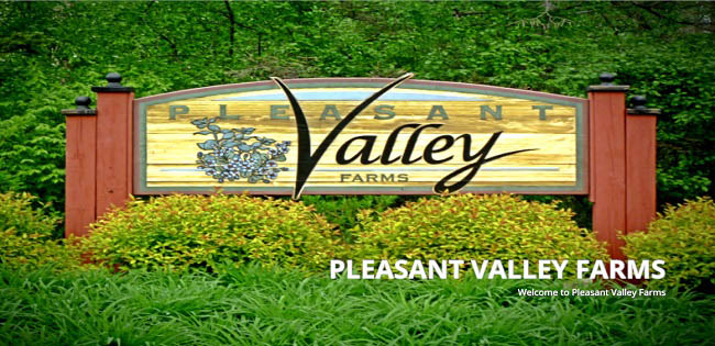 Карта Pleasant Valley Farms v1.0 для FS19 (1.2.x)