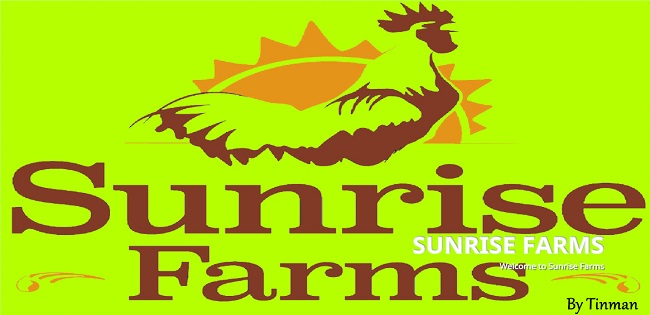 Карта Sunrise Farms v2.0.0.0 для FS19 (1.5.x)
