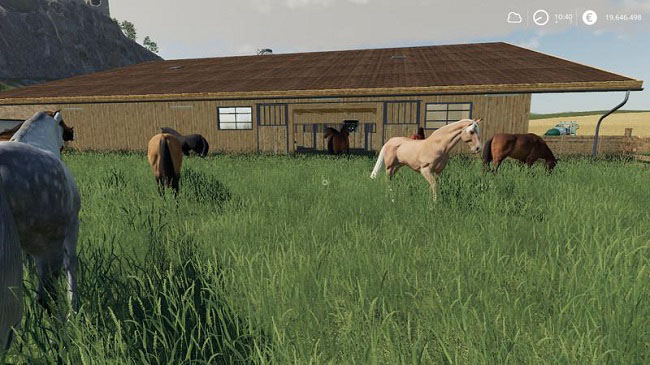 Мод Horse Stone  with Boxes v1.3 для FS19 (1.2.x)
