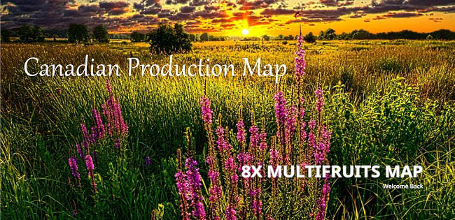 Карта Canadian Production Map 19 v1.0 для FS19 (1.3.x)