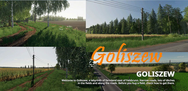Карта Goliszew v1.0.0.0 для FS19 (1.3.x)
