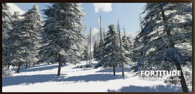 Карта Winter Fortitude v1.0 для FS19 (1.5.x)