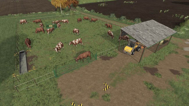 Мод Outdoor Cow Pasture v1.0.0.0 для FS19 (1.5.x)