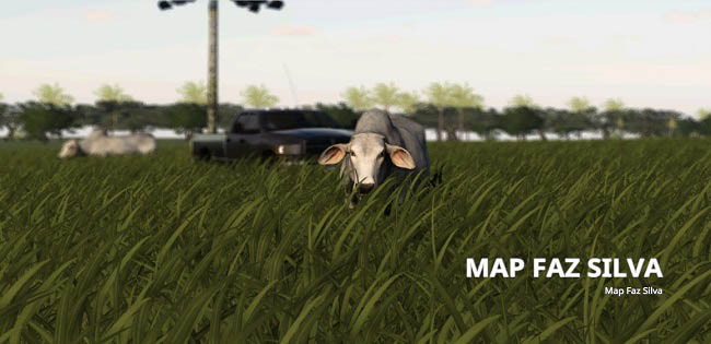 Карта Fazenda Silva v1.0.0.0 для FS19 (1.5.x)