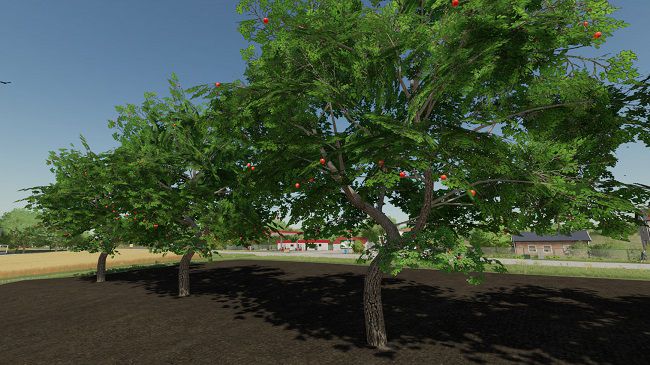 Placeable Apple Tree v1.2.0.0 для FS22 (1.1.x)