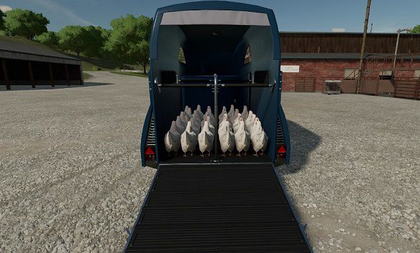 Chicken Transport Trailers v1.0 для Farming Simulator 22 (1.2.x)