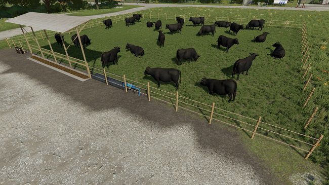 Outdoor Pastures v1.0.0.0 для Farming Simulator 22 (1.3.x)