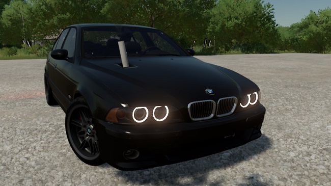 BMW 530D E39 v1.0.0.1