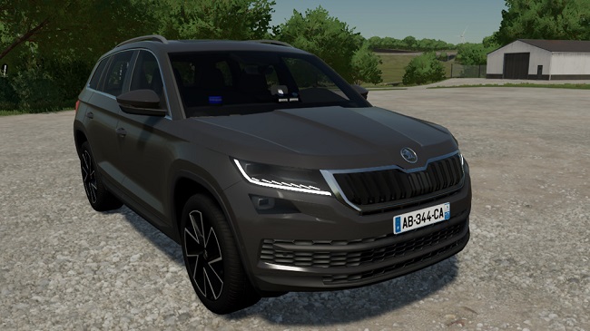 Skoda Kodiaq 2019 BAC v1.0.0.0