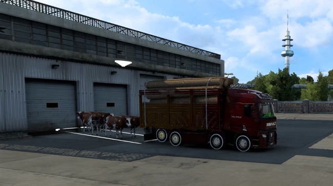 Cargo Mod by Finion v1.52