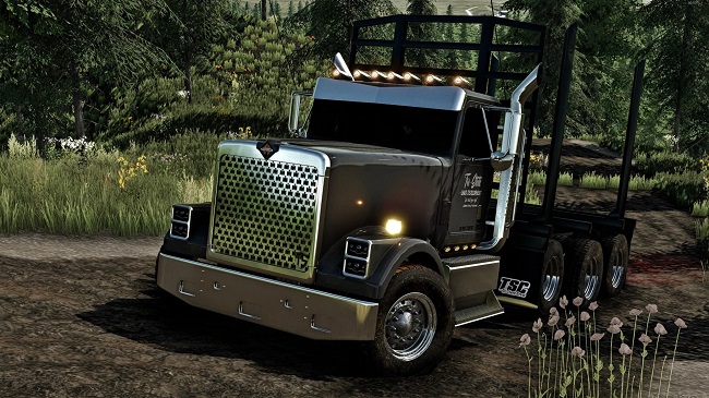 International 9300 (1988) v1.0.0.0