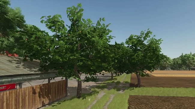 Placeable Trees FS25 v1.0.0.0