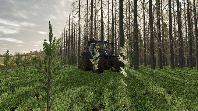 No Tree Limit FS25 v1.0.0.0