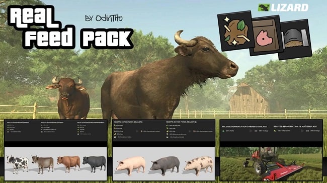 Real Feed Pack v2.1.0.1