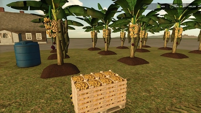 Banana Plantation v1.0.0.0