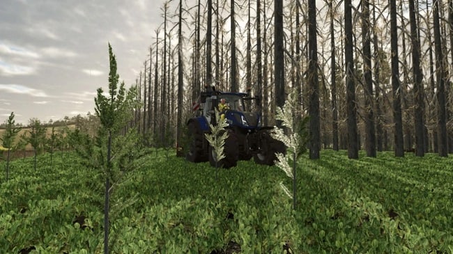 No Tree Limits FS25 v1.0.0.0