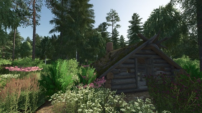Карта Forest Valley FS25 v1.0.2.0