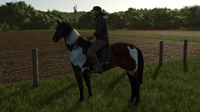 HorseHelper FS25 v1.0.0.0