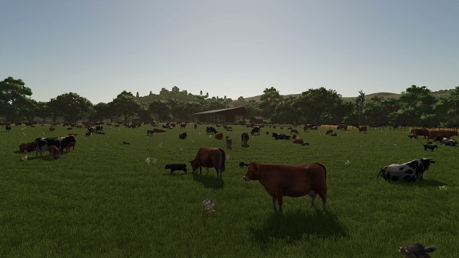More Visual Animals FS25 v1.0.0.0