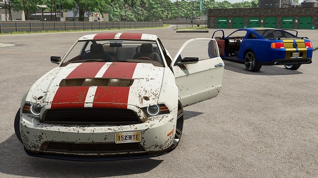 Lizard Road Rage FS25 v1.0.0.0