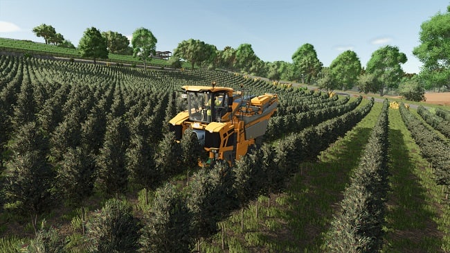 Карта StarValley FS25 v1.0.0.0