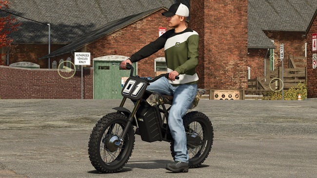 Lizard DT-E FS25 v1.0.0.0