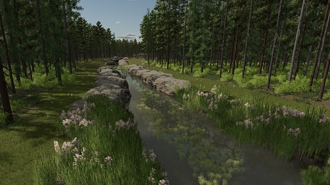 Карта InTo The Woods FS25 v1.0.0.0
