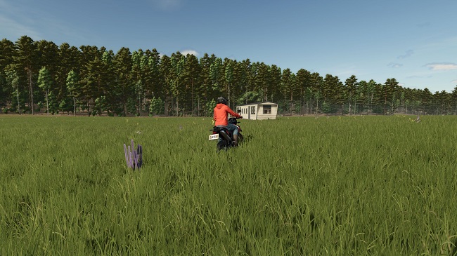 Карта Homestead FS25 v1.0.0.0