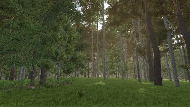 Unlimited Tree Placement FS25 v1.0