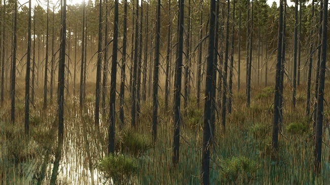 Карта Umbreon Valley FS25 v1.0.0.0