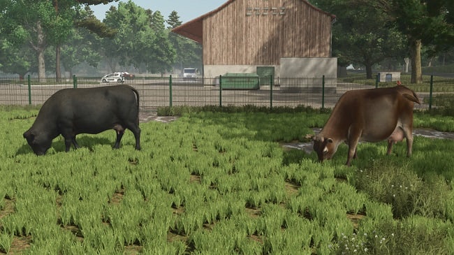 Карта Meinefeld Region Schaumburg (FS25) v1.0.0.0