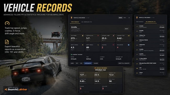 Vehicle Records (Beamng) v1.1