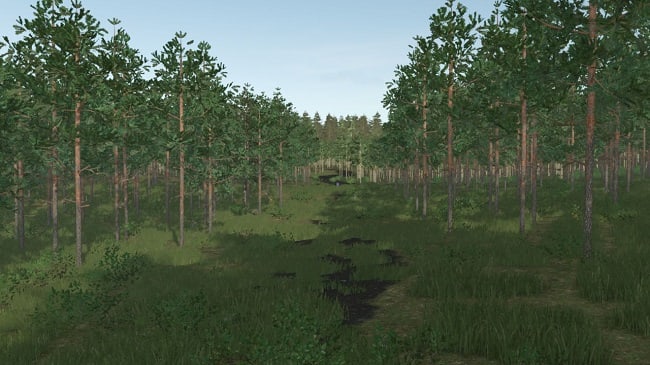 Карта Pinewood Forest Next Generation (FS25) v1.0.0.0