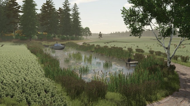 Карта Borowiny (FS25) v1.0.0.0